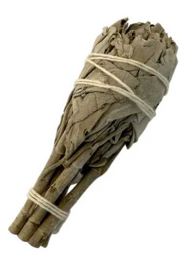 Sahumerio de Salvia